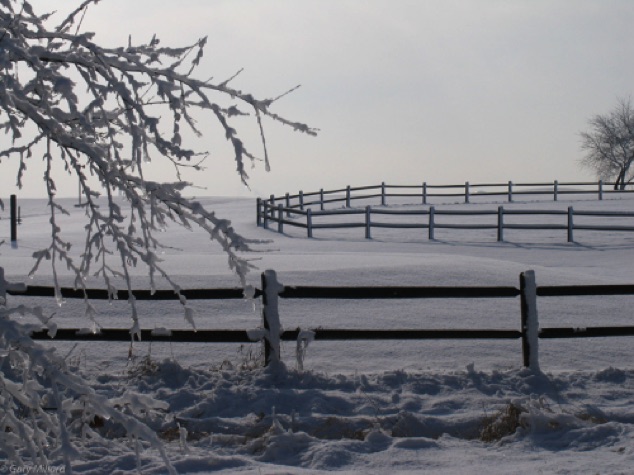 Winter Split Rail Fence
Joliet Snow